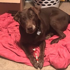 Meet your Posher, Autumn